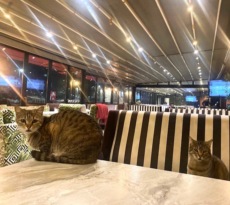 Azade Cafe - Kadıköy