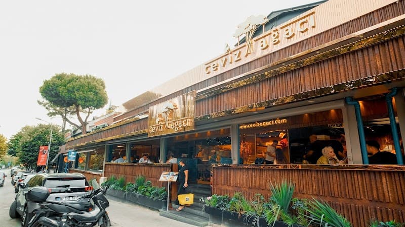 Ceviz Ağacı - Kadıköy