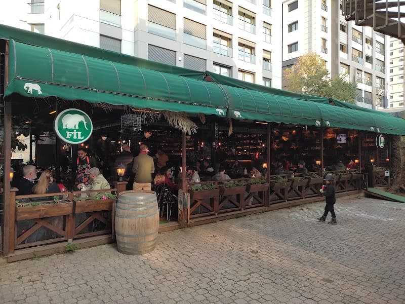 Fil Şaşkınbakkal - Kadıköy